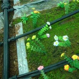 ���̰���